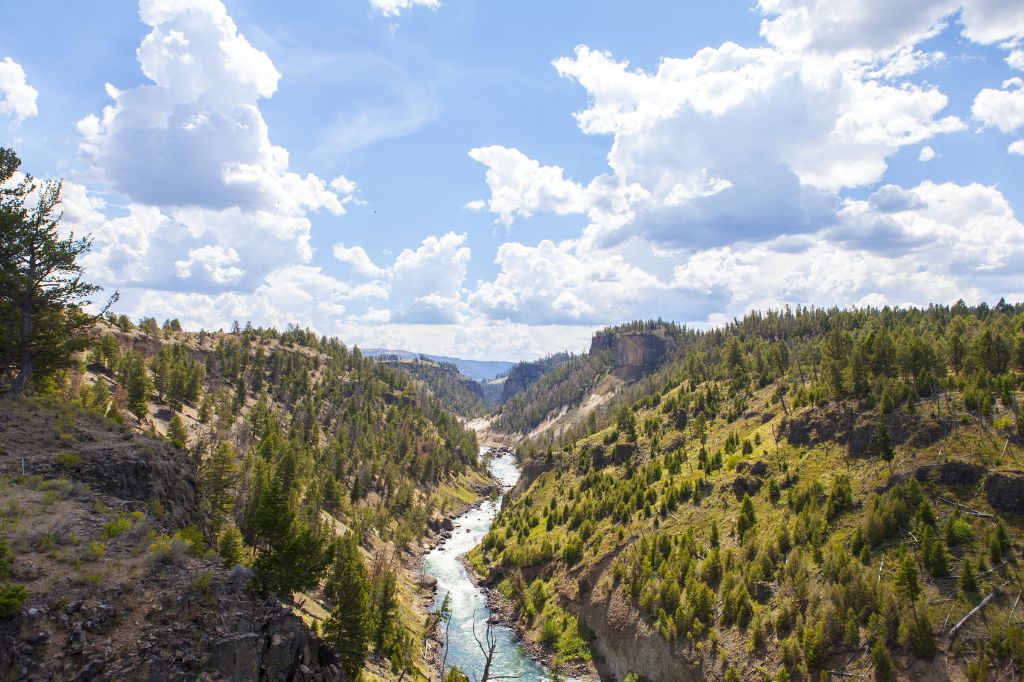 Landschaft im Yellowstone-Nationalpark