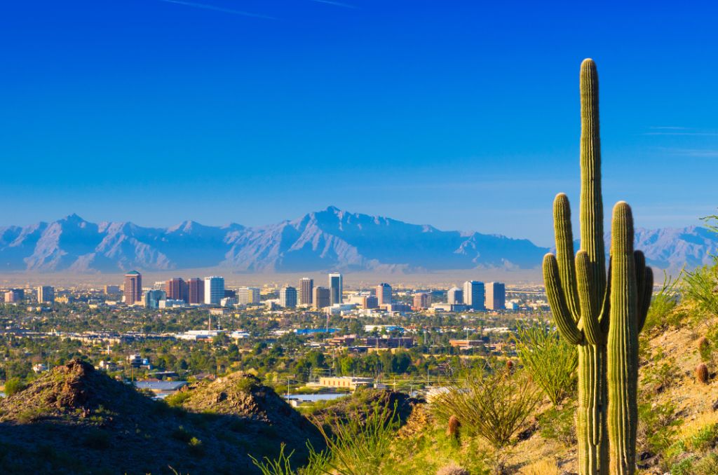 Skyline der Innenstadt von Phoenix mit einem Saguaro-Kaktus und anderen Wüstenlandschaften im Vordergrund.