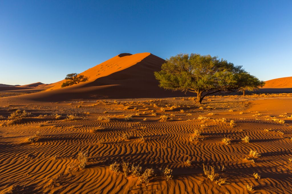 Wüste  mit Düne in Namibia