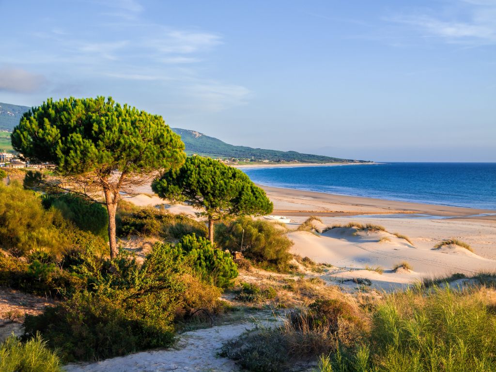 Beach in Spain Coast Bolonia