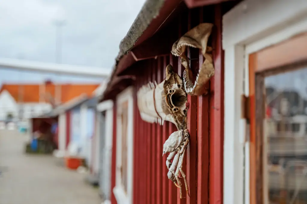 Detail eines alten hölzernen Fischerhauses im Yachthafen Raa in Südschweden, Helsingborg