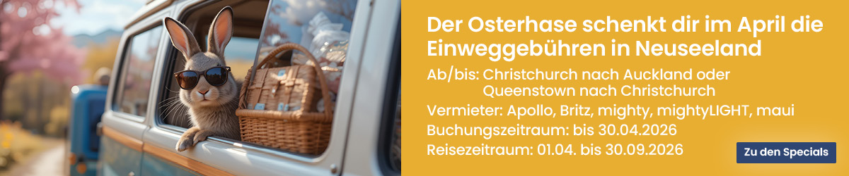 Banner für April Special. HAse im Wohnmobil